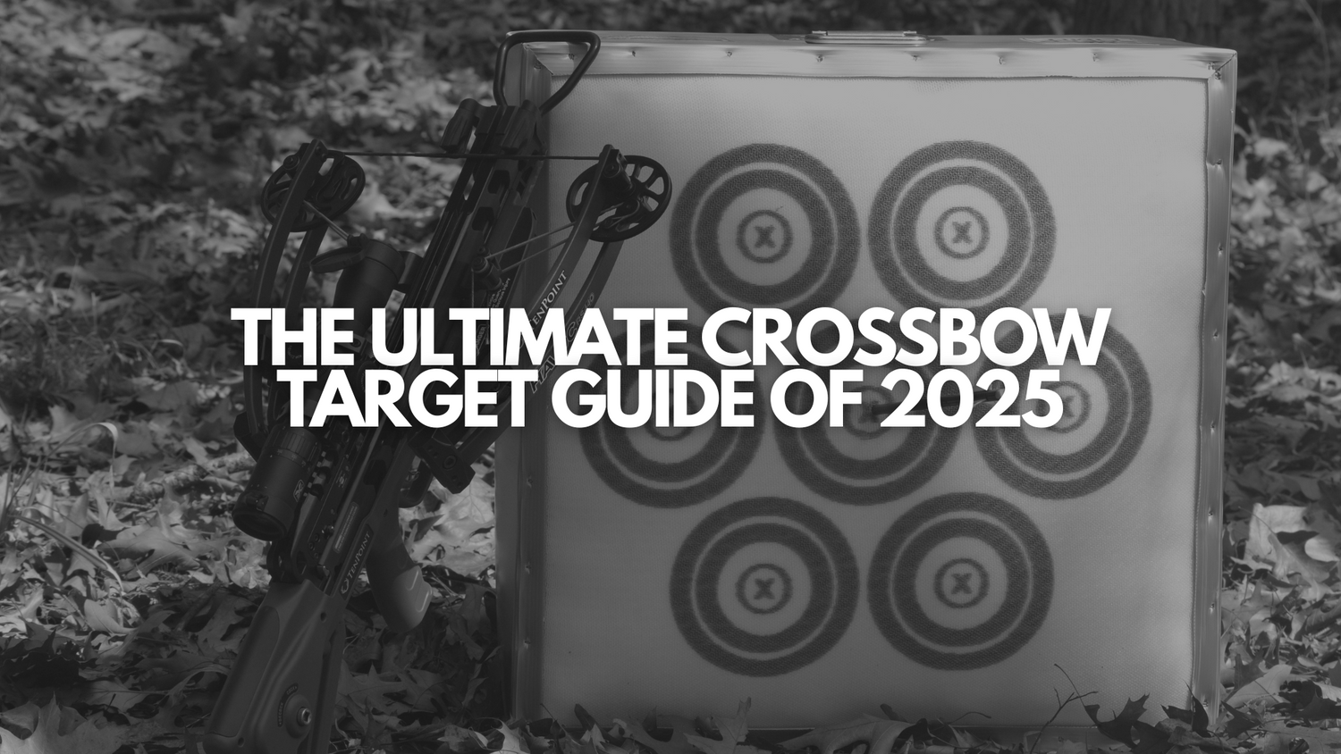 The Ultimate Crossbow Target Guide of 2025