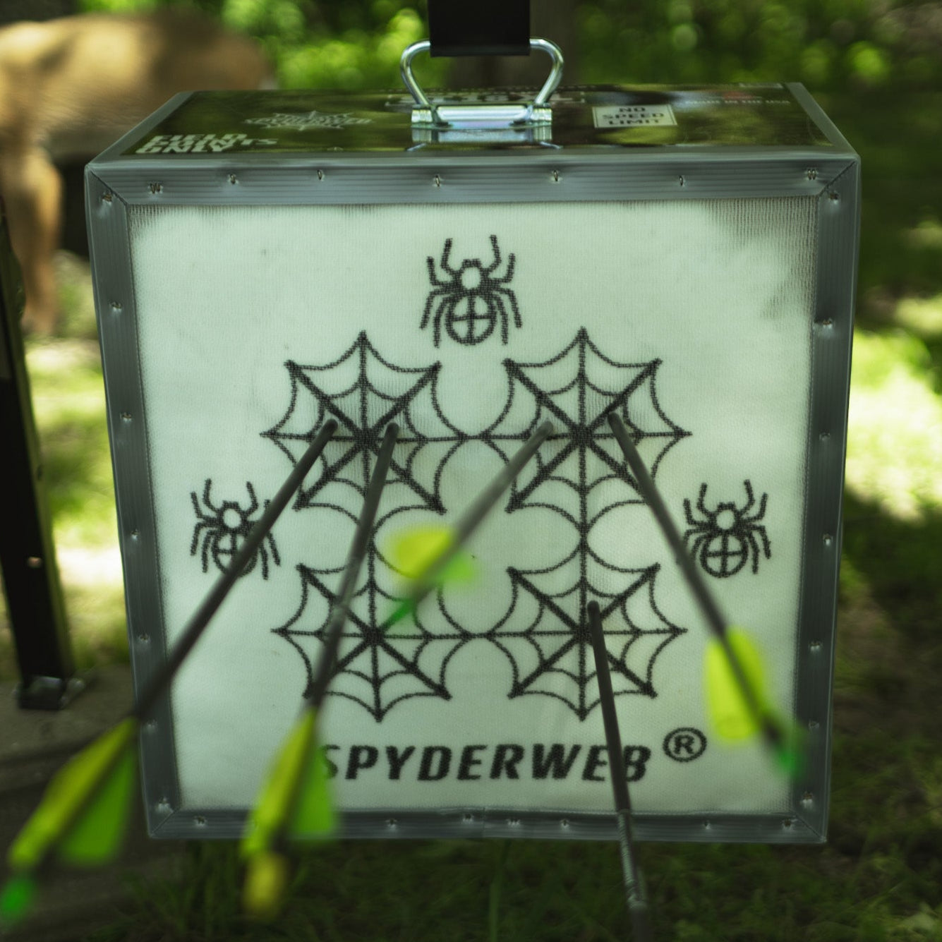 Target hit with arrows