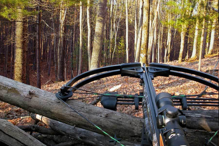 Understanding Bow Specs and Speed Ratings
