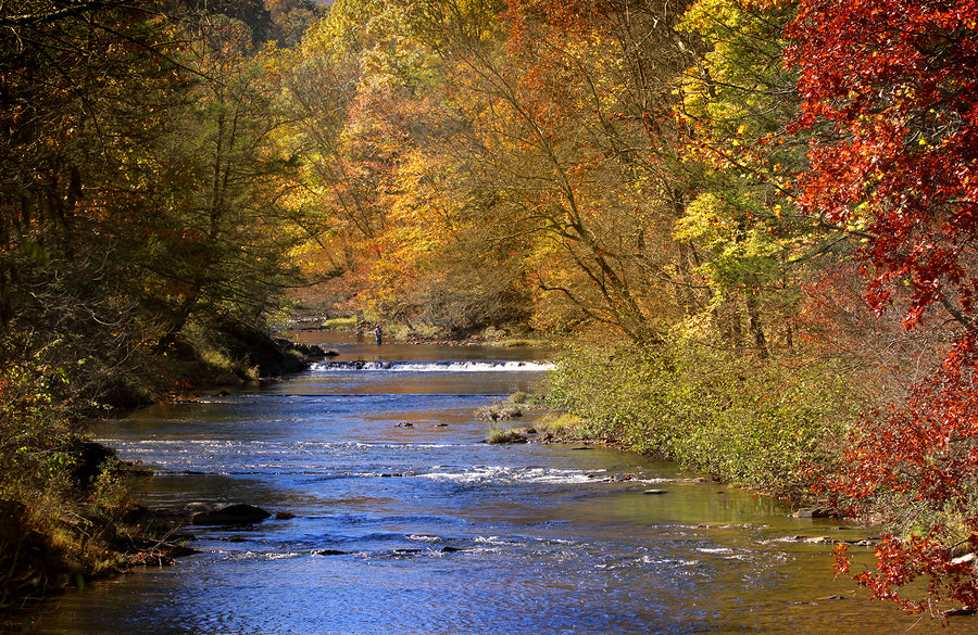 How Bowhunters Like You Fuel Conservation